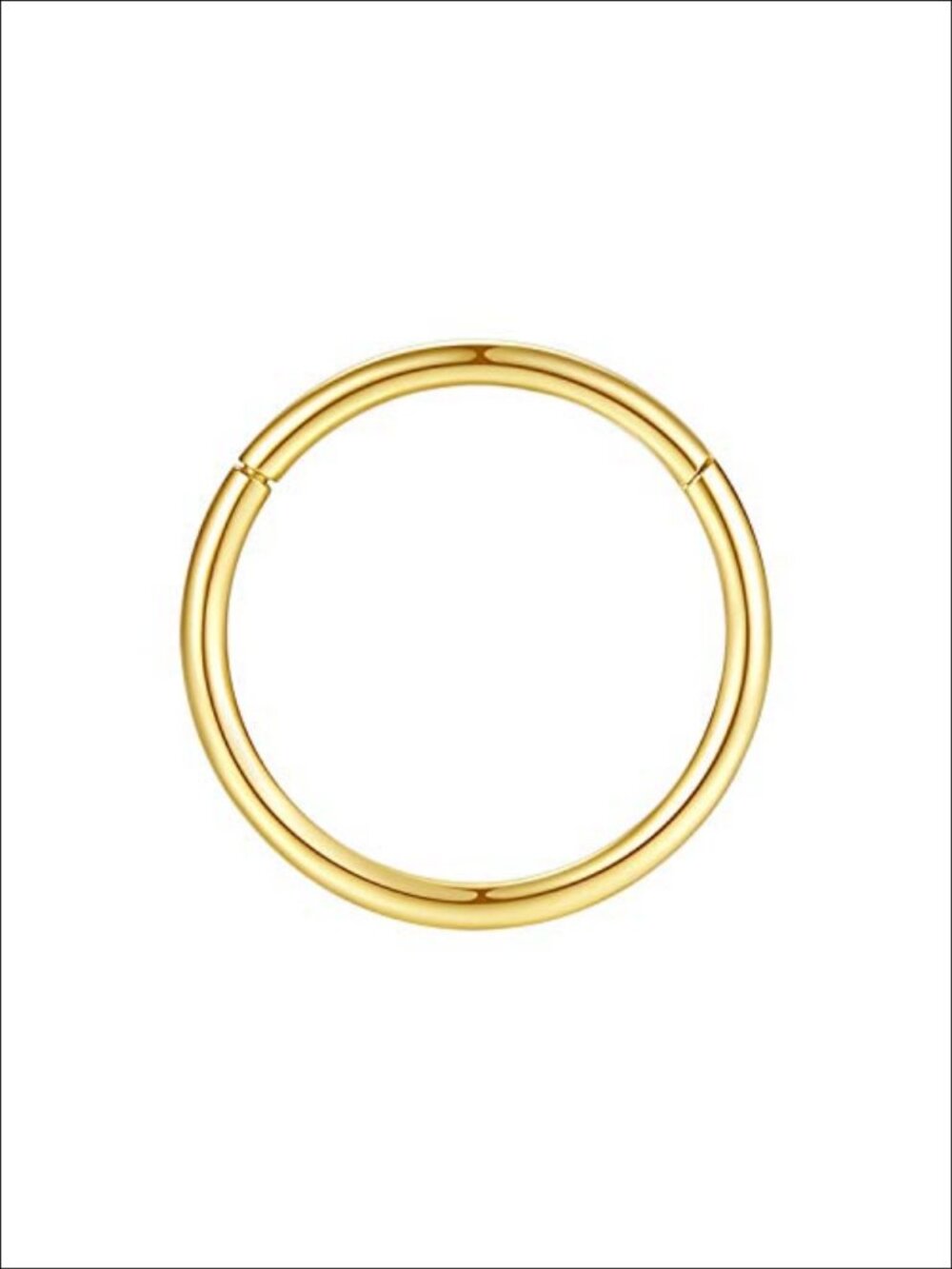 Hypoallergenic 316L Surgical Steel Nose Ring 20G Hinged Segment Hoop